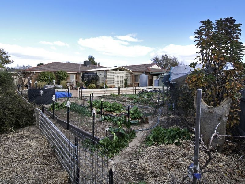 1 Dandenong Court, Palmerston ACT 2913
