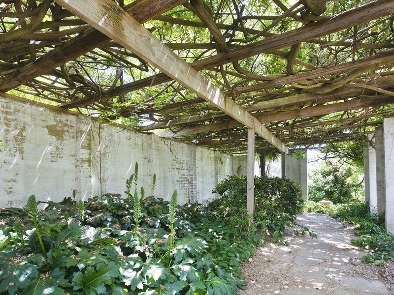 18 Oakes Street, Cook ACT 2614