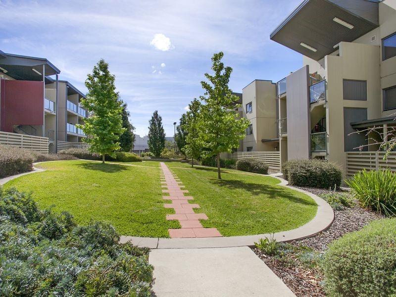 141/1 Braybrooke Street, Bruce ACT 2617