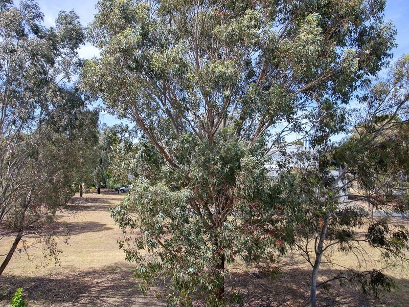 141/1 Braybrooke Street, Bruce ACT 2617