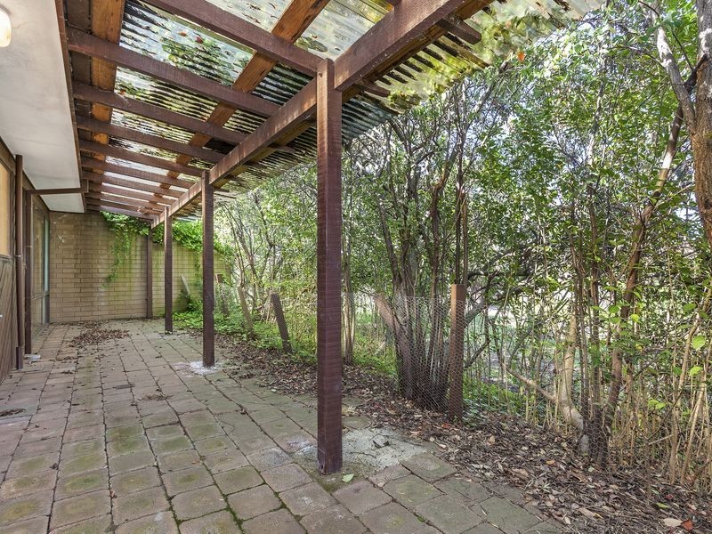 17/29 Goddard Crescent, Holt ACT 2615