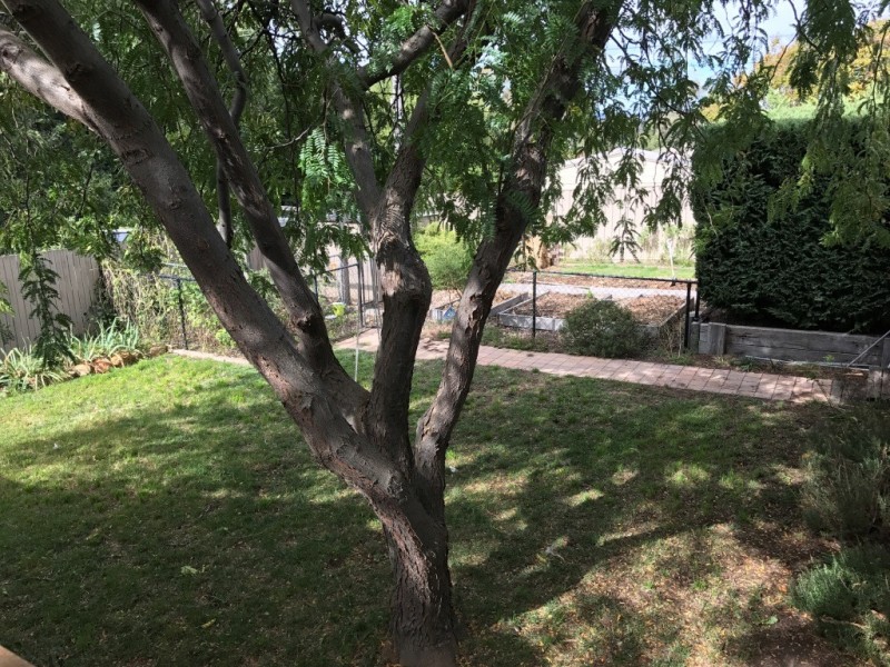 3 LLoyd Place, Kambah ACT 2902