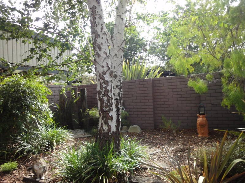 14 Elkedra Close, Hawker ACT 2614