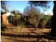 10 Jindivik Place, Scullin ACT 2614