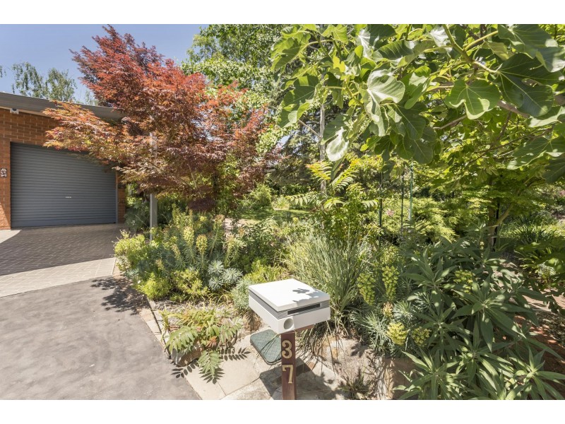 37 McLachlan Crescent, Weetangera ACT 2614
