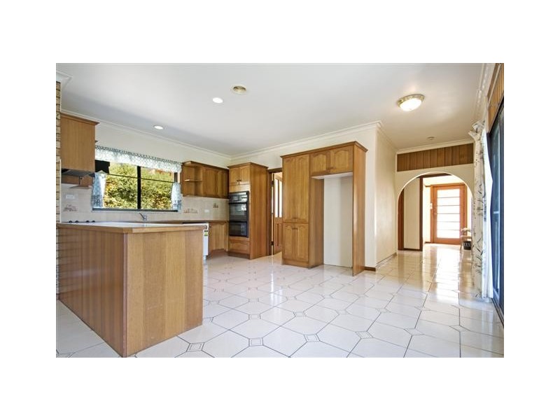 17 Austin Street, Griffith ACT 2603