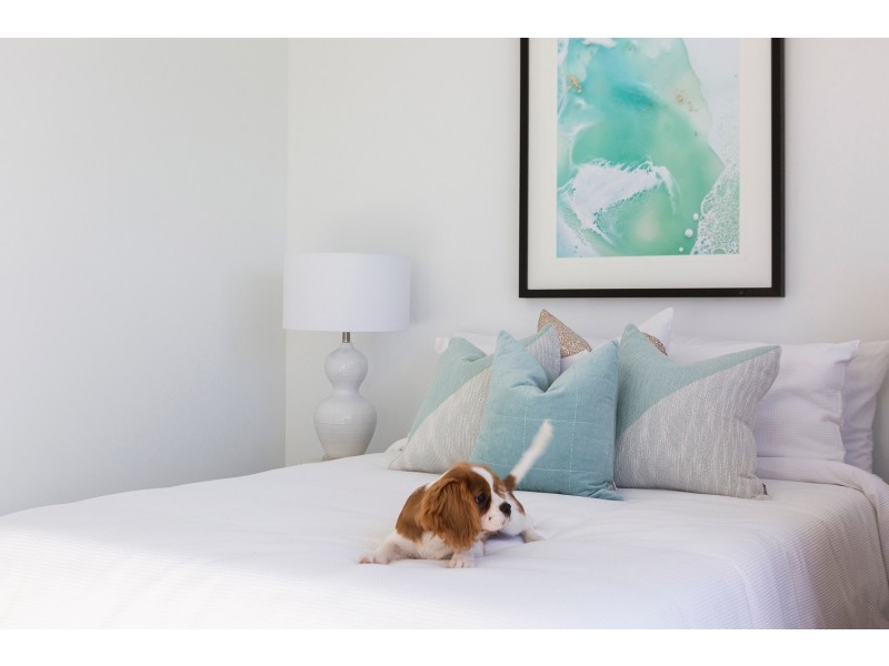 2/5 Wylde Place, Macquarie ACT 2614