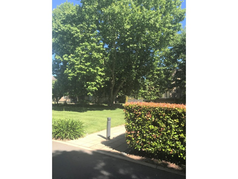 14 Bluebell Street, O’connor ACT 2602