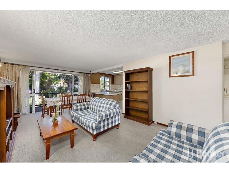 17/52a Forbes Street, Turner ACT 2612