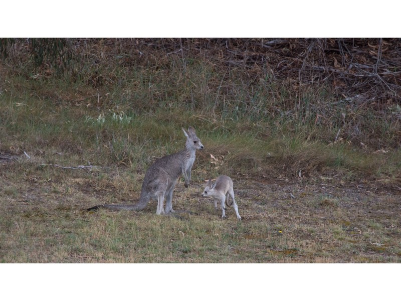 27/20 Beissel Street, Belconnen ACT 2617