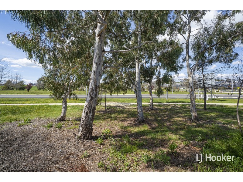 64 Windradyne Street, Ngunnawal ACT 2913