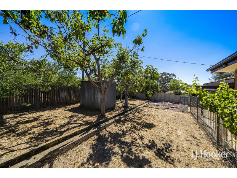 19 Alfred Hill Drive, Melba ACT 2615