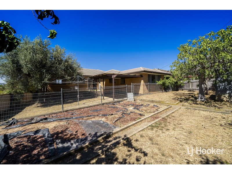 19 Alfred Hill Drive, Melba ACT 2615