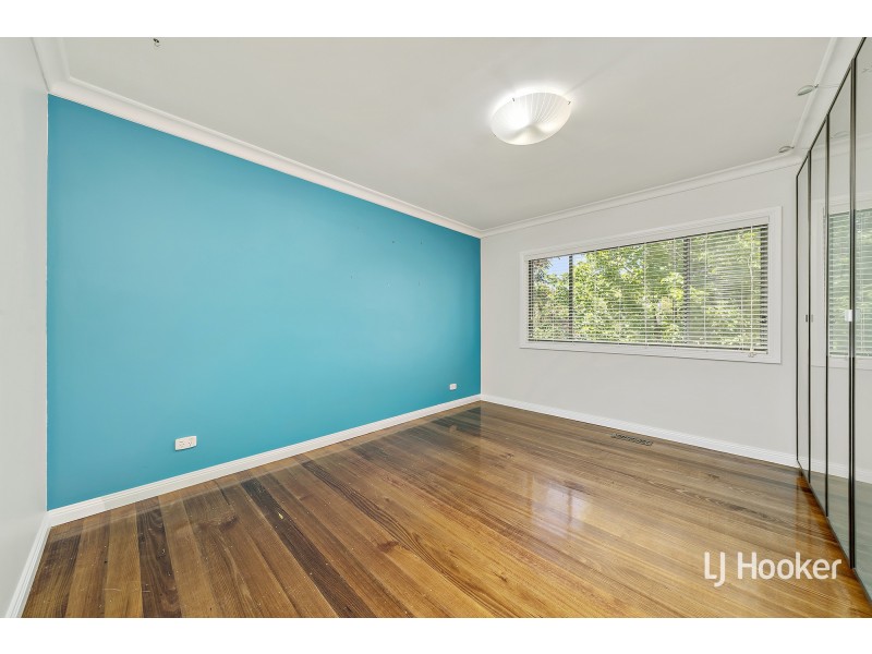11 Arndell Street, Macquarie ACT 2614