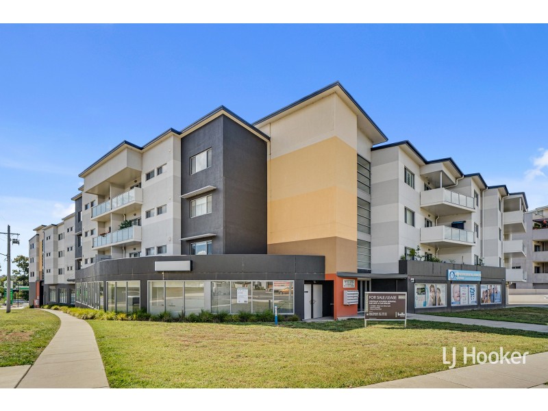 50/20 Bindubi Street, Macquarie ACT 2614