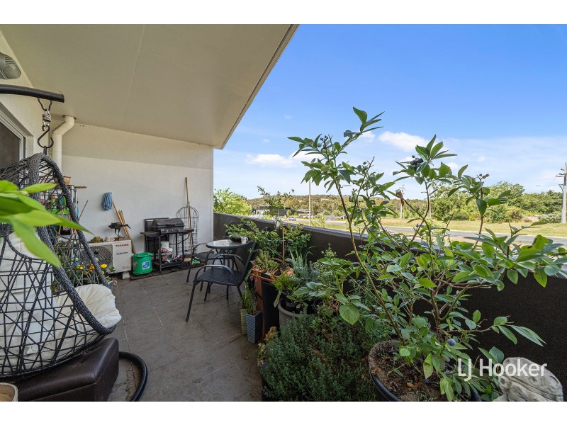 50/20 Bindubi Street, Macquarie ACT 2614