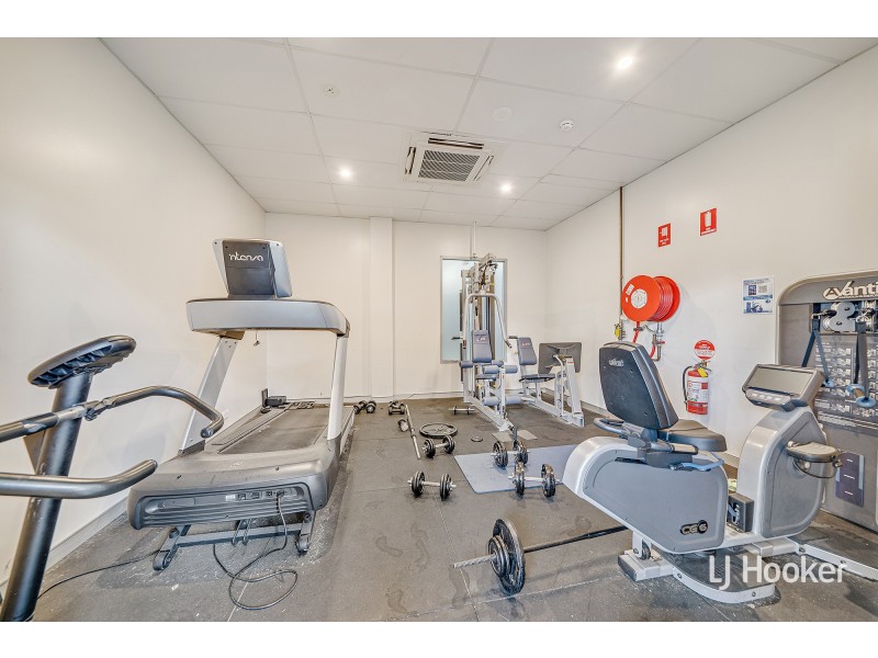 50/20 Bindubi Street, Macquarie ACT 2614