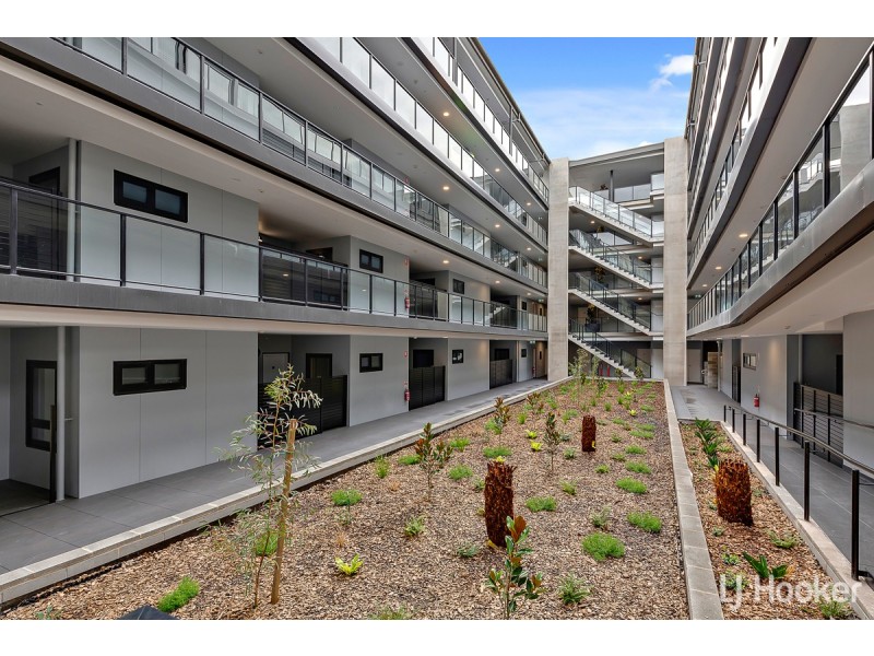 46/15 Bowman Street, Macquarie ACT 2614