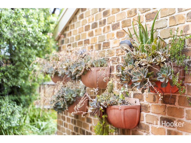 11/18 Earle Place, Page ACT 2614