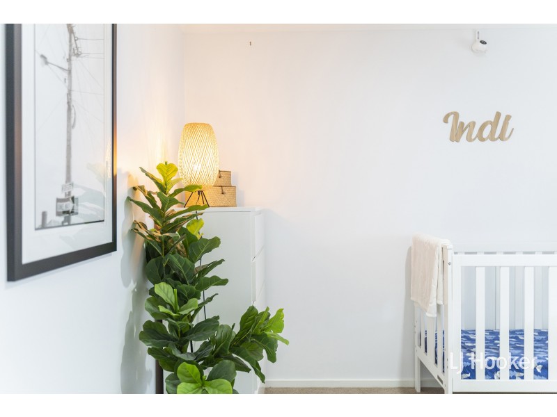 19 Greenman Street, Macgregor ACT 2615