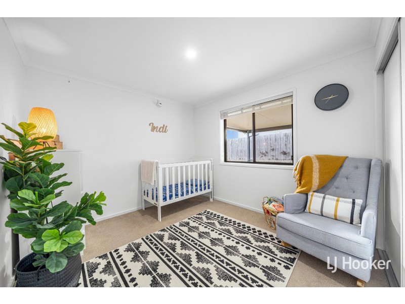 19 Greenman Street, Macgregor ACT 2615