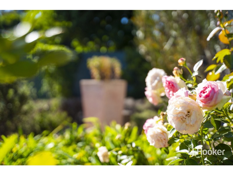 40 Alpen Street, Melba ACT 2615