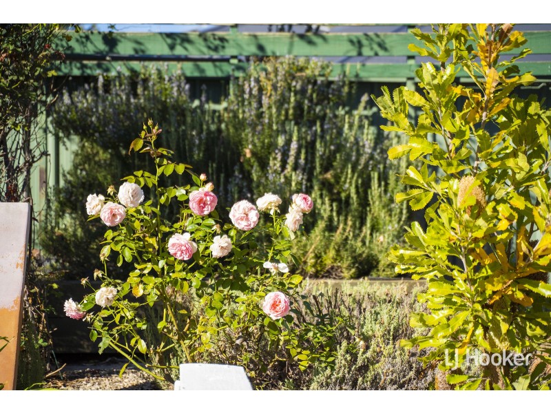 40 Alpen Street, Melba ACT 2615