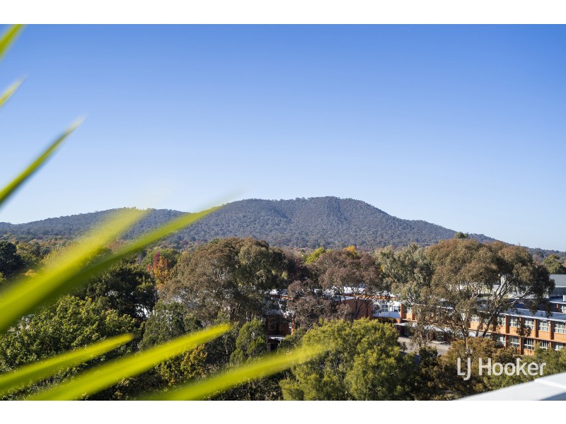 513/8 Cape Street, Dickson ACT 2602