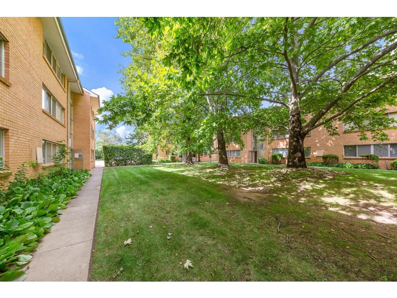 14/41 David Street, O’connor ACT 2602