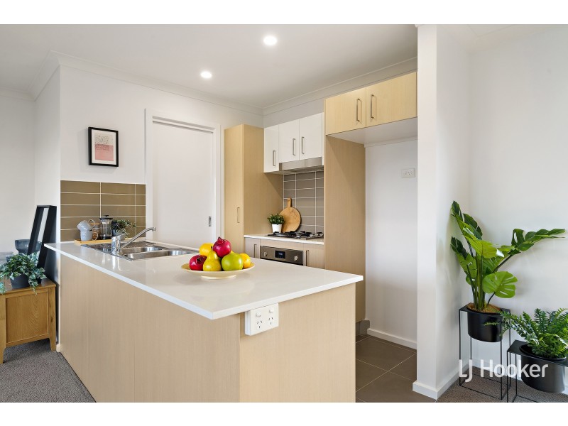 14/4 Annie Douglas Street, Casey ACT 2913