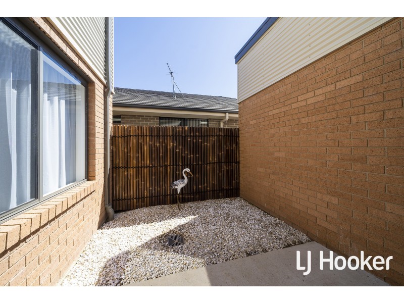 56 Refshauge Crescent, Macgregor ACT 2615