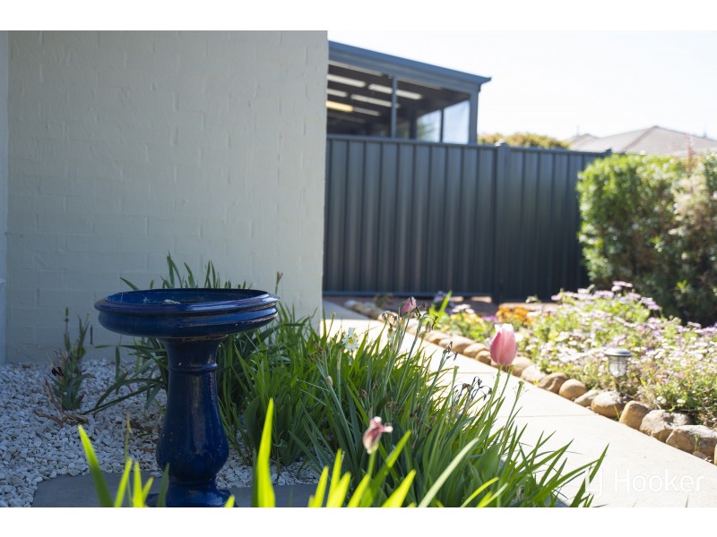 65 Bryan Hudson Street, Macgregor ACT 2615