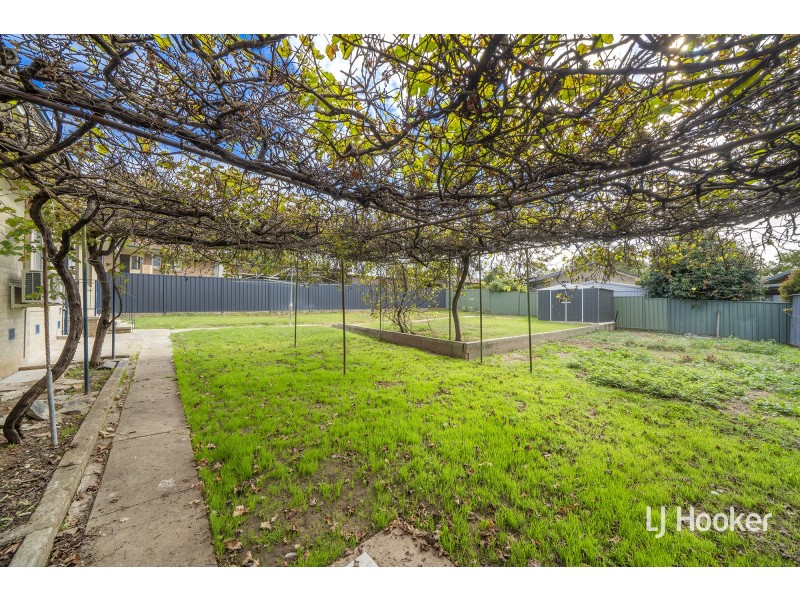 29 Kinsella Street, Higgins ACT 2615