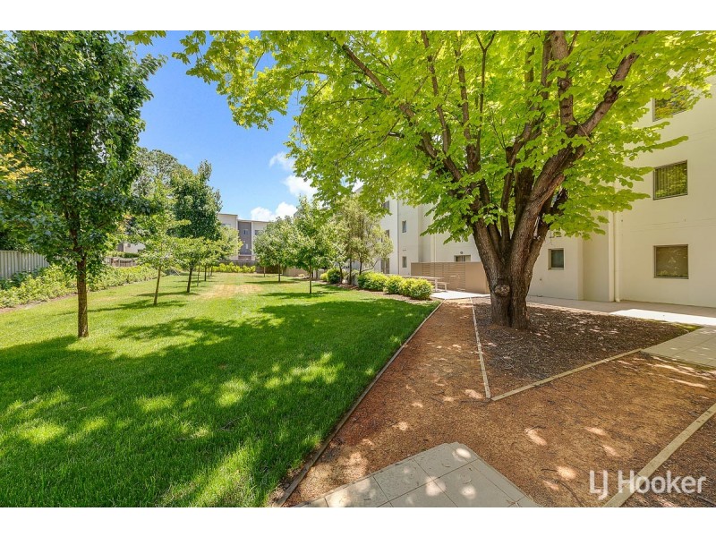 6/3 Towns Crescent, Turner ACT 2612