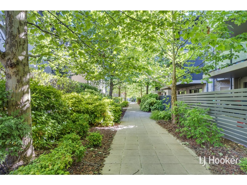 78/120 Thynne Street, Bruce ACT 2617