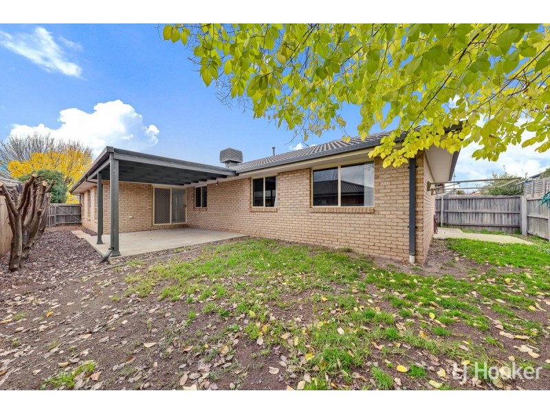 36 Petersilka Street, Gungahlin ACT 2912