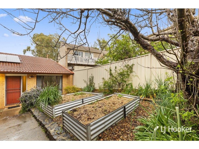 38 Totterdell Street, Belconnen ACT 2617