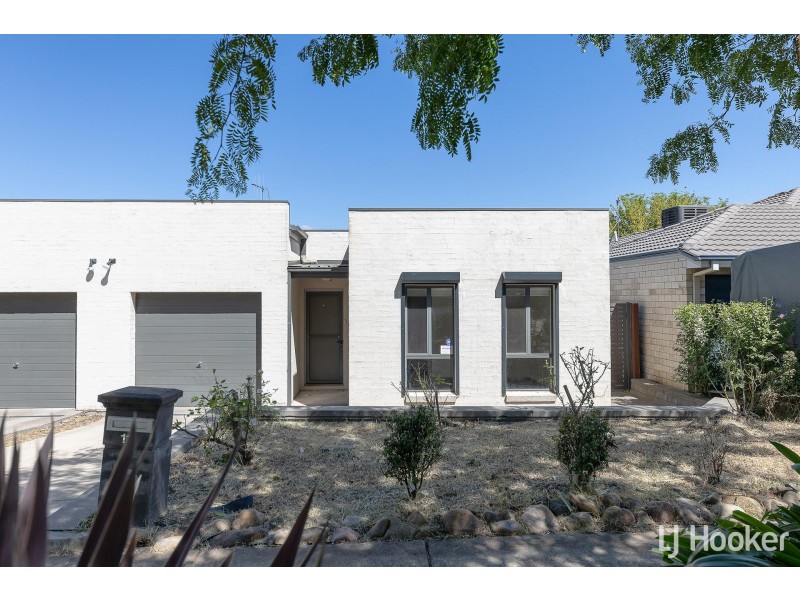 11 Dagmar Berne Street, Macgregor ACT 2615