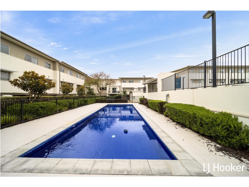 31/311 Flemington Road, Franklin ACT 2913