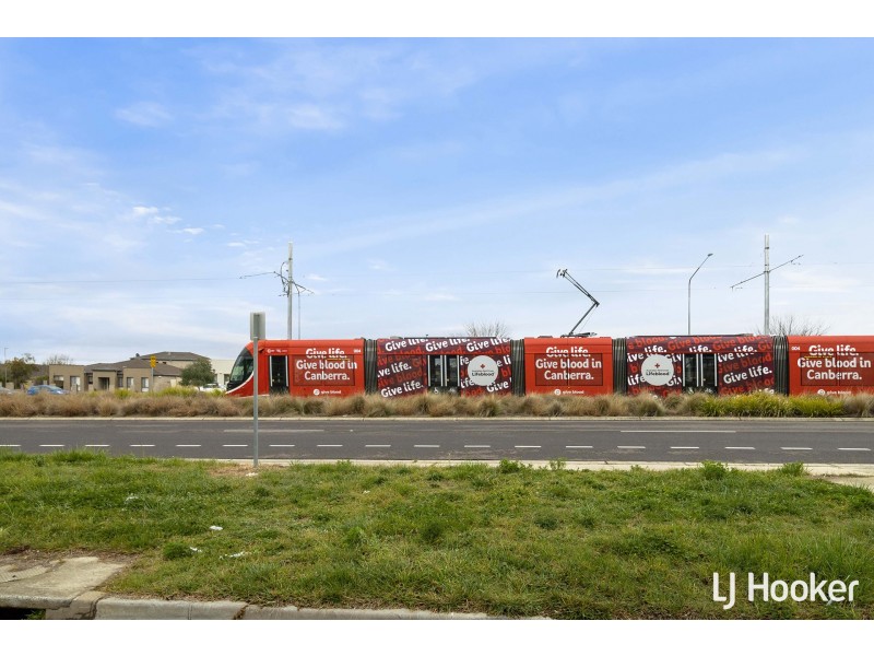 31/311 Flemington Road, Franklin ACT 2913