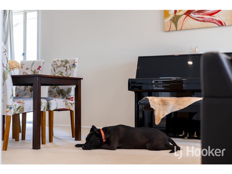 1/51 Belconnen Way, Weetangera ACT 2614