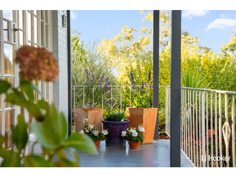 39 Lachlan Street, Macquarie ACT 2614