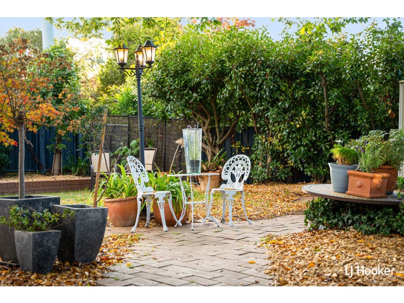 39 Lachlan Street, Macquarie ACT 2614