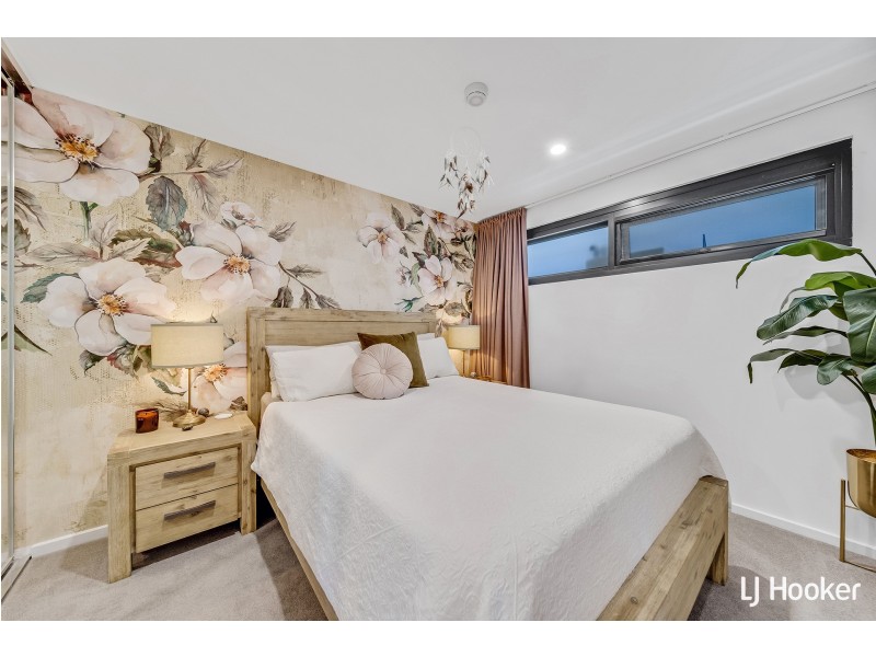 43/15 Bowman Street, Macquarie ACT 2614