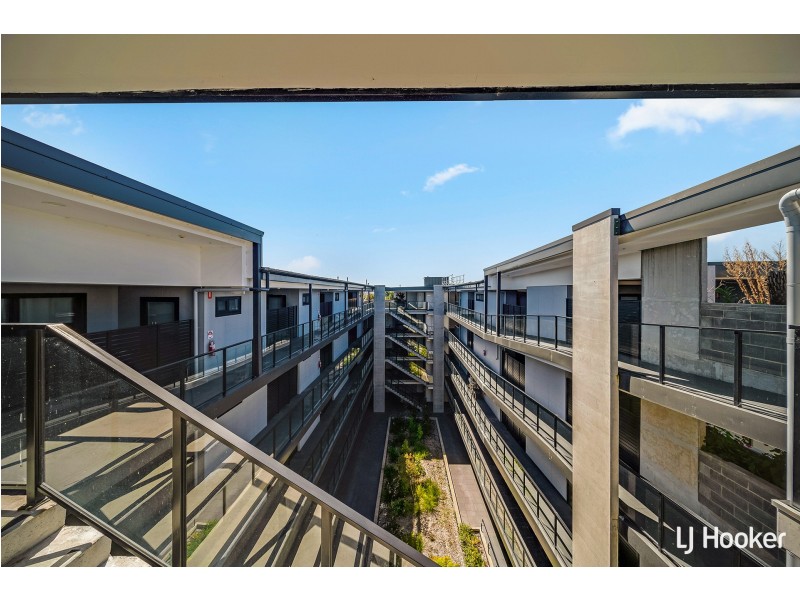43/15 Bowman Street, Macquarie ACT 2614