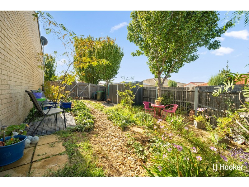 10/204 Macfarlane Burnet Avenue, Macgregor ACT 2615