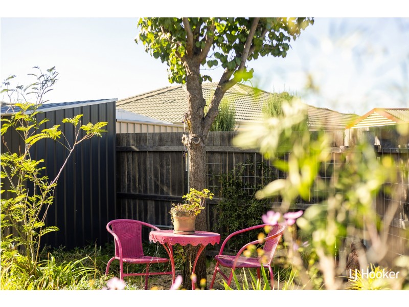 10/204 Macfarlane Burnet Avenue, Macgregor ACT 2615