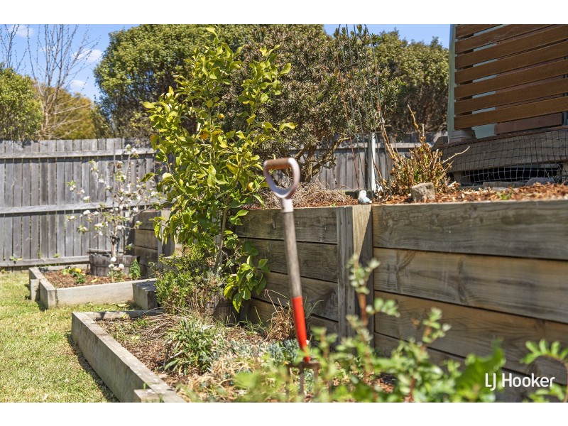 16 Marcus Faunce Street, Macgregor ACT 2615