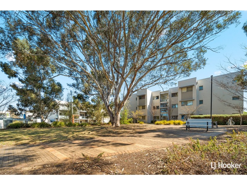 18/75 Elizabeth Jolley Crescent, Franklin ACT 2913