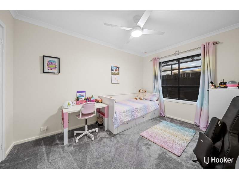 56 Blizzard Circuit, Forde ACT 2914